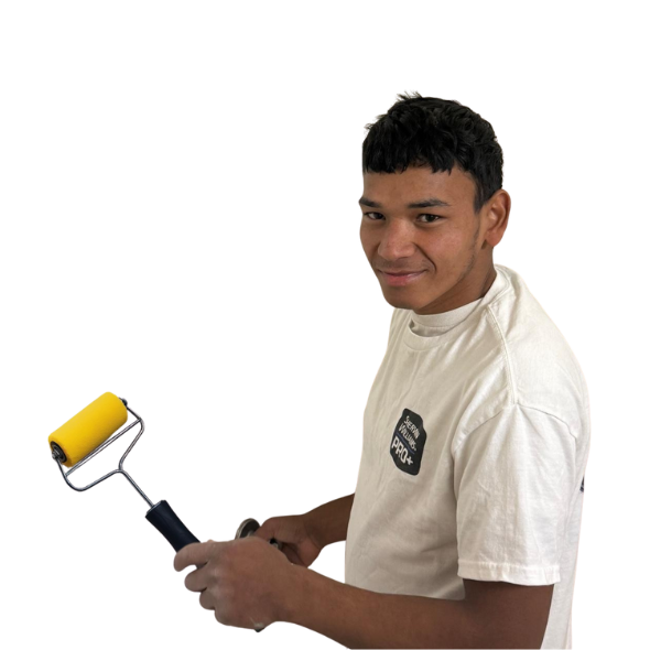 proworkpainting david (590 x 590 px)